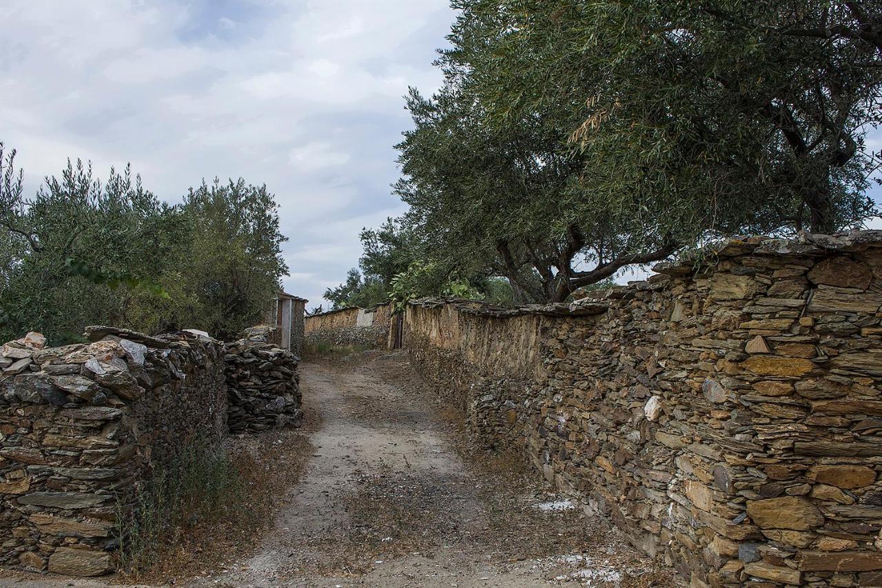 Casa Rural Julio Vegas Santiago Del Campo Exterior photo